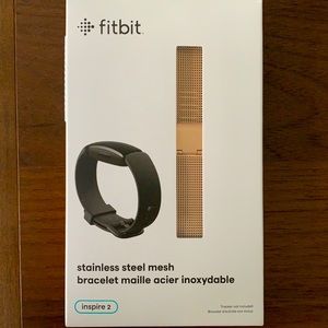 Fitbit Inspire 2 Stainless Steel Mesh Bracelet